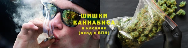 индика Лихославль