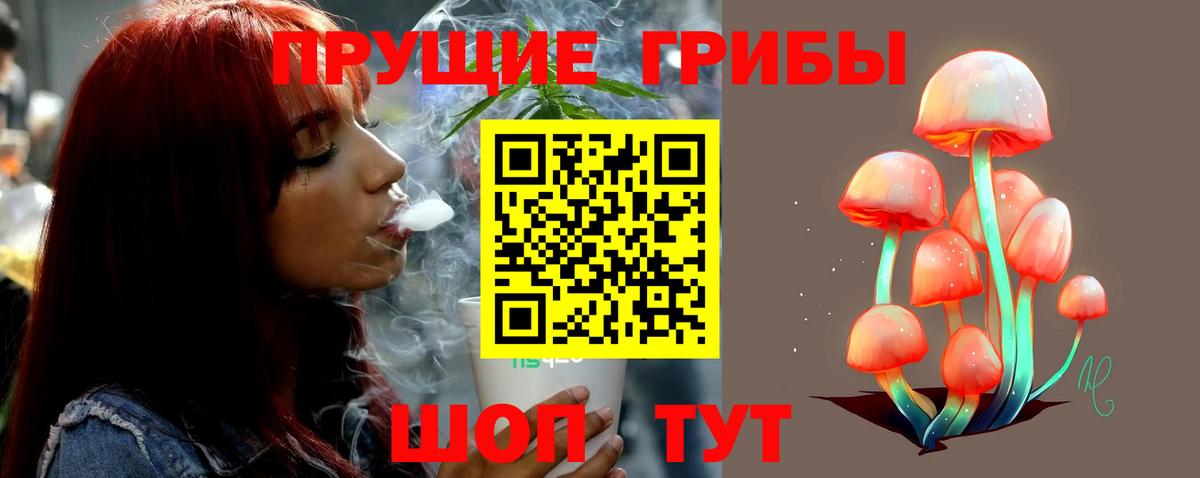 Галлюциногенные грибы мухоморы Конаково